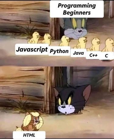 programming01.jpg